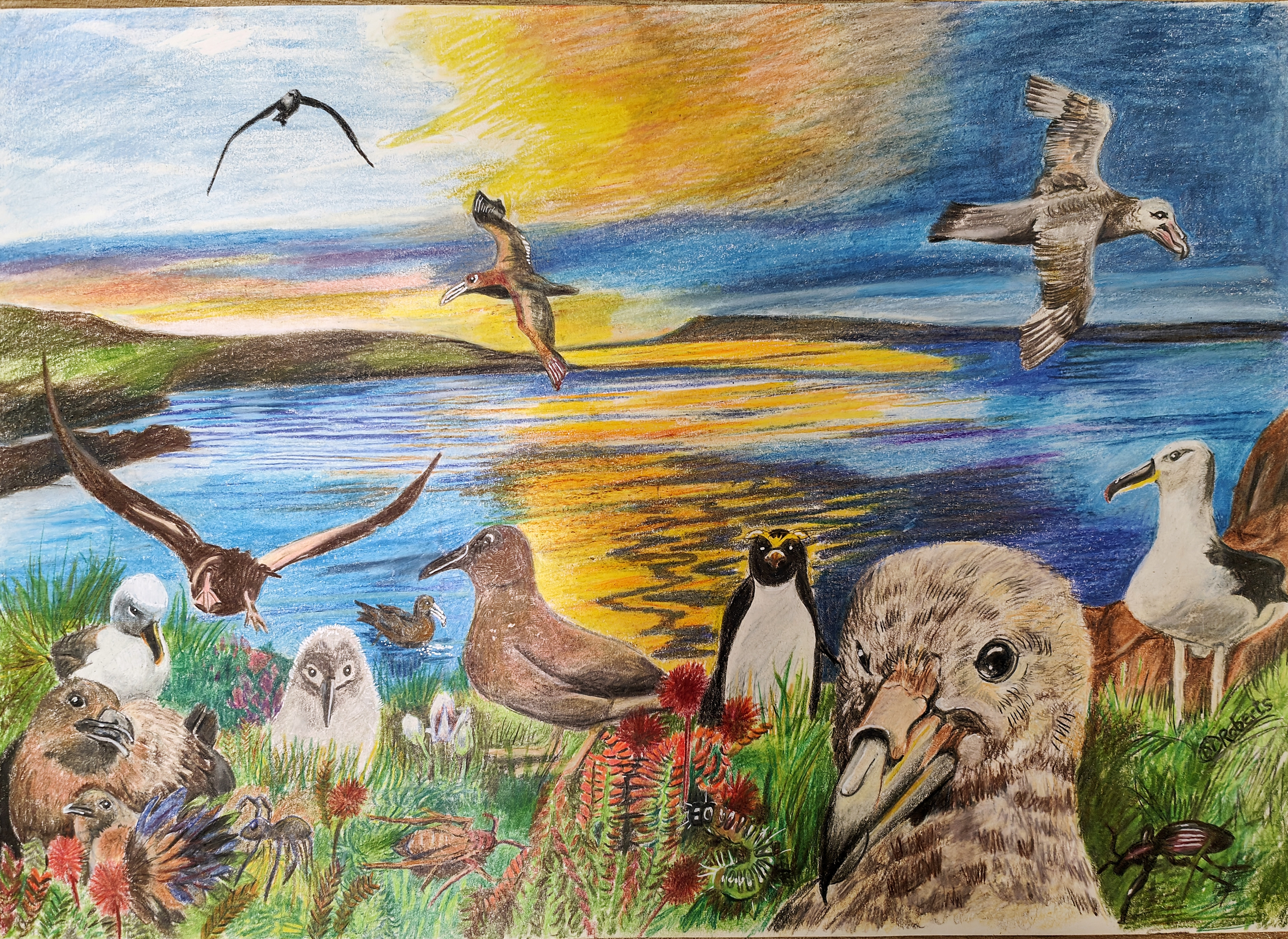 Di Roberts Party time no rodents invited polychrome pencils hi res
