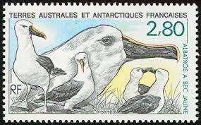 IYNA stamp