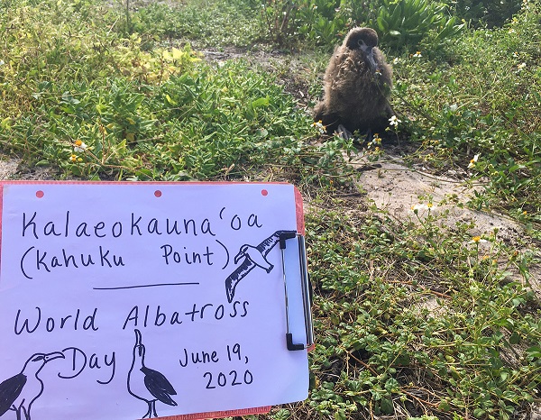 Kahuku Point shrunk