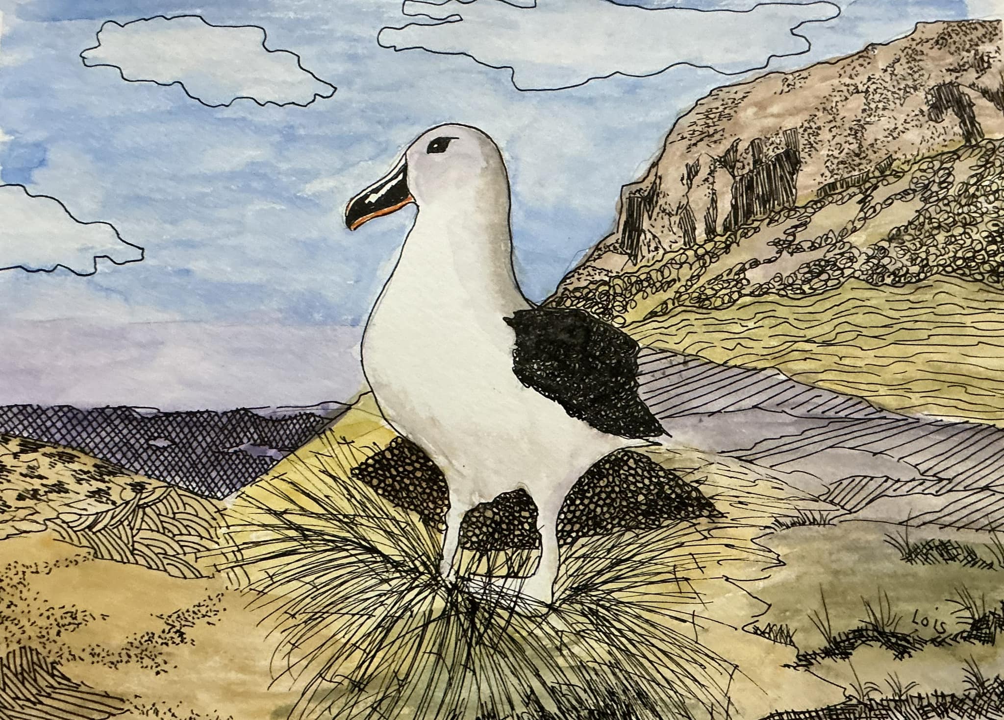 Lois Davis Grey headed Albatross Kim Stevens