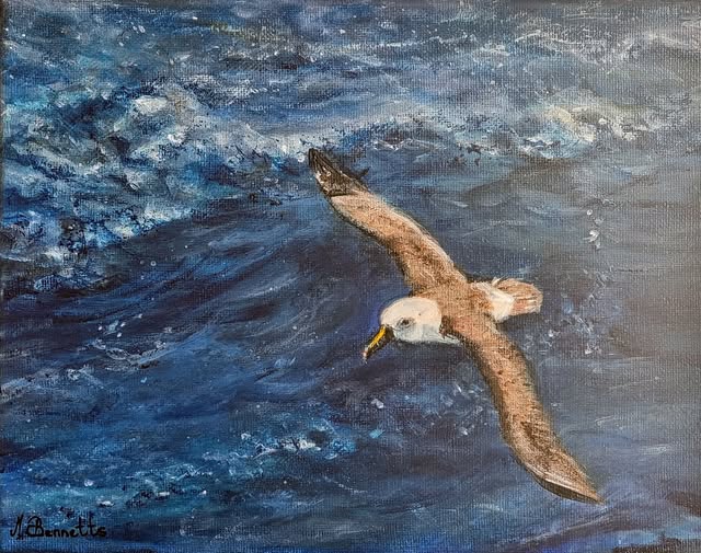 Maureen Bennetts Indan Yellow nosed Albatross acrylics on canvas Flcok 2025 Holly Parsons