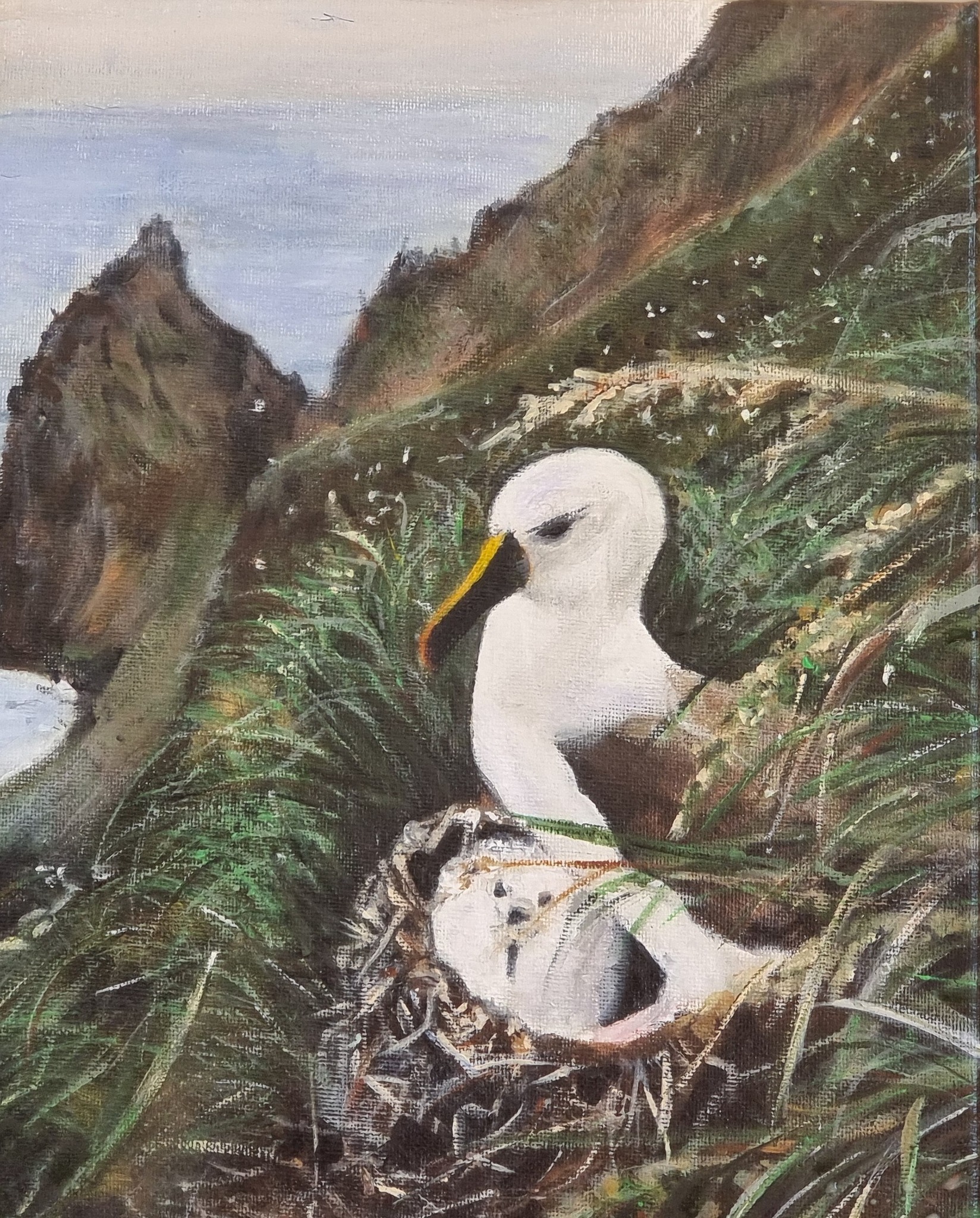 Maureen Bennetts Indian Yellow nosed Albatross Amsterdam Isoland Acrylic on canvas Karine Delord