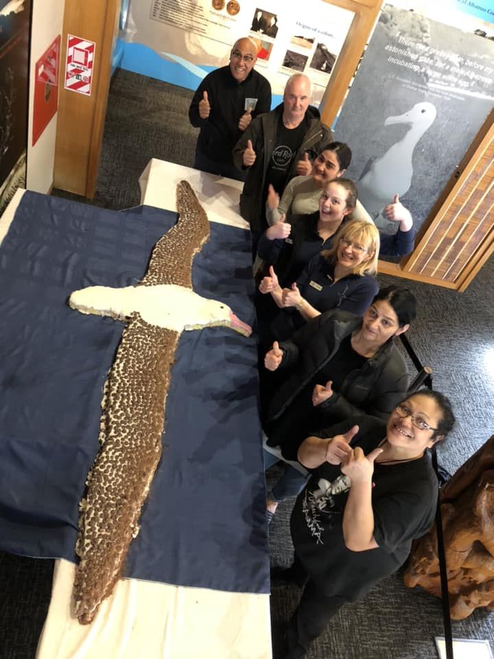 Royal Albatross Centre 3 metre Cake Chris McCormack