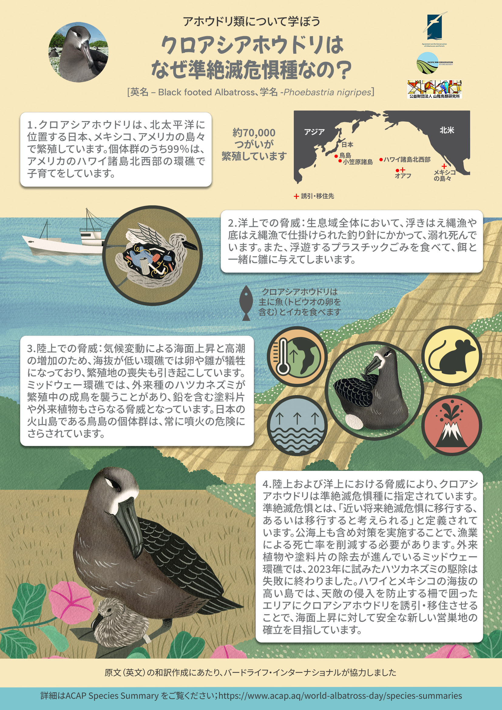 blackfooted jp a4poster5