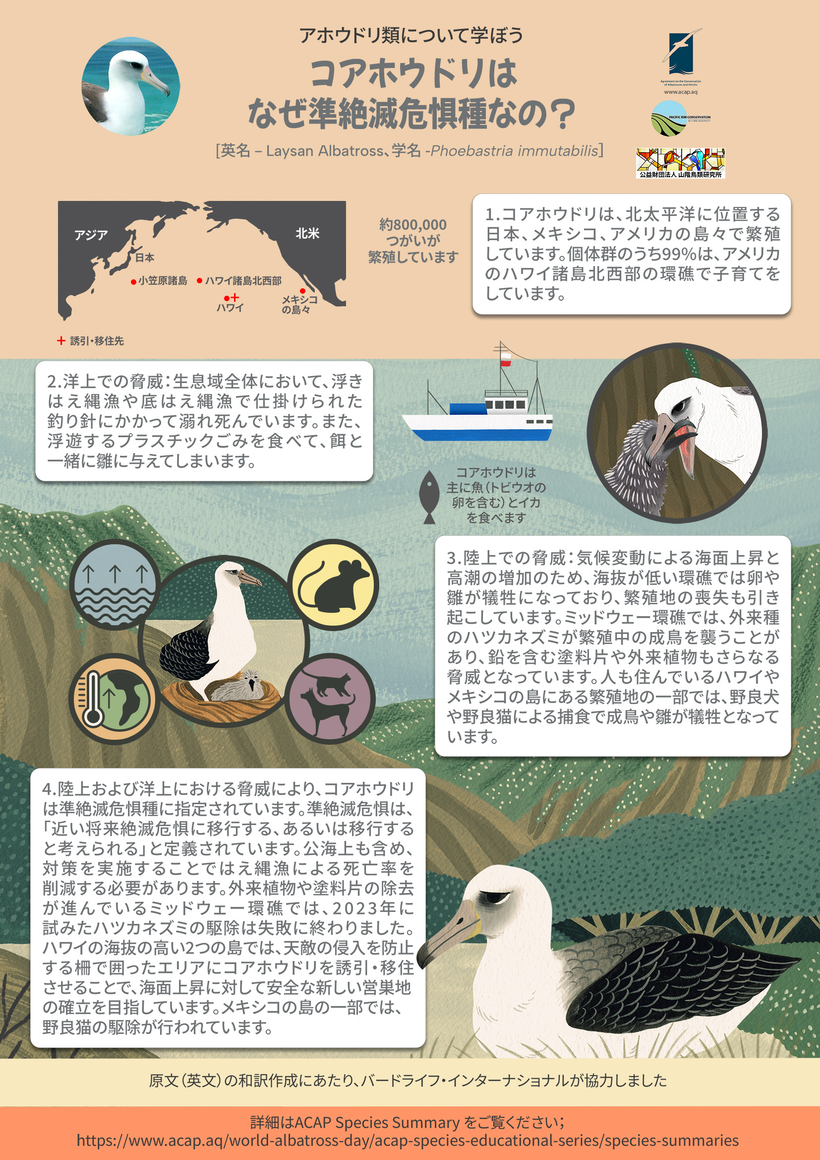 laysan jp a4poster2