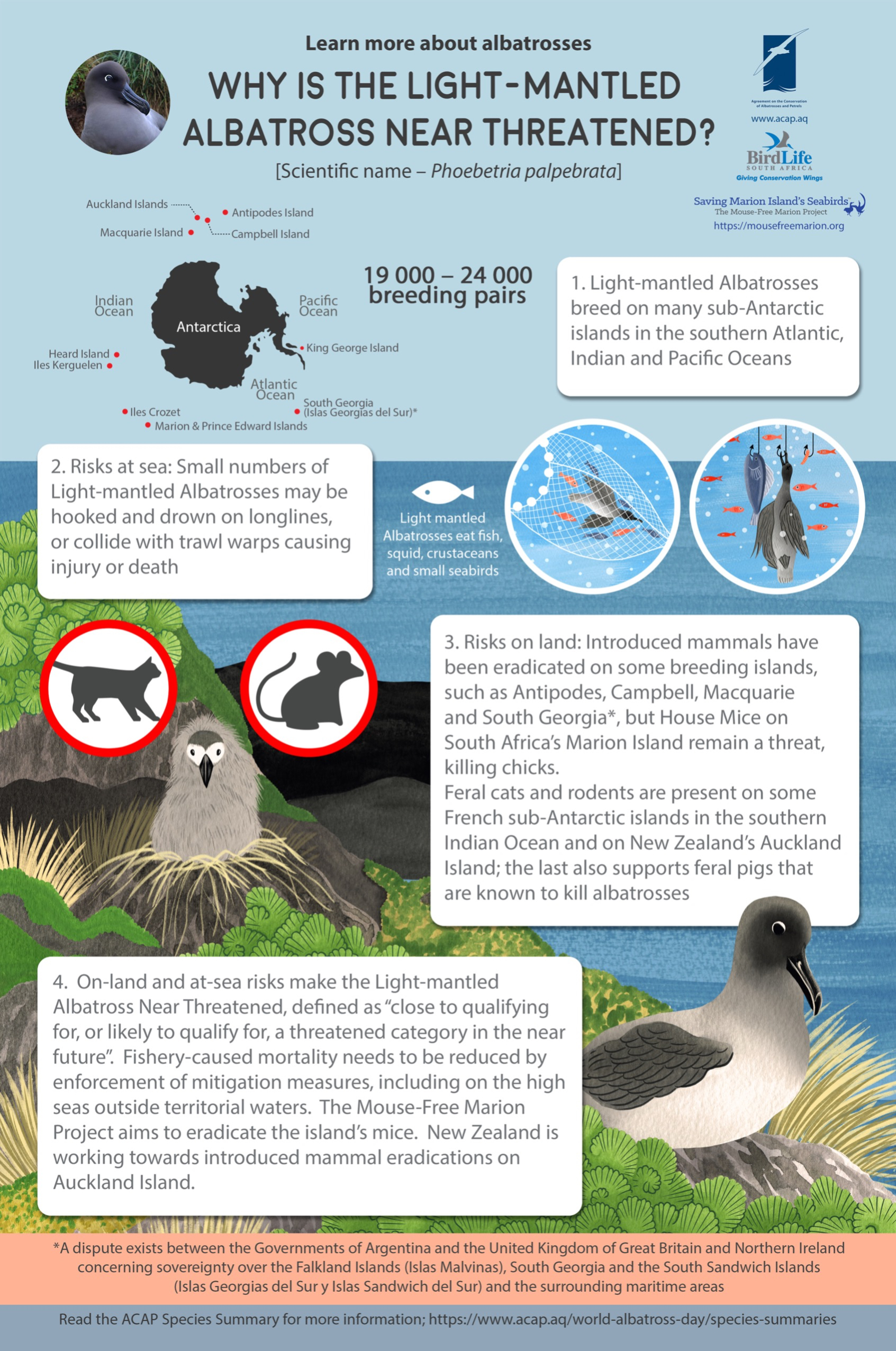 lightmantled eng smlposter5mmbleed