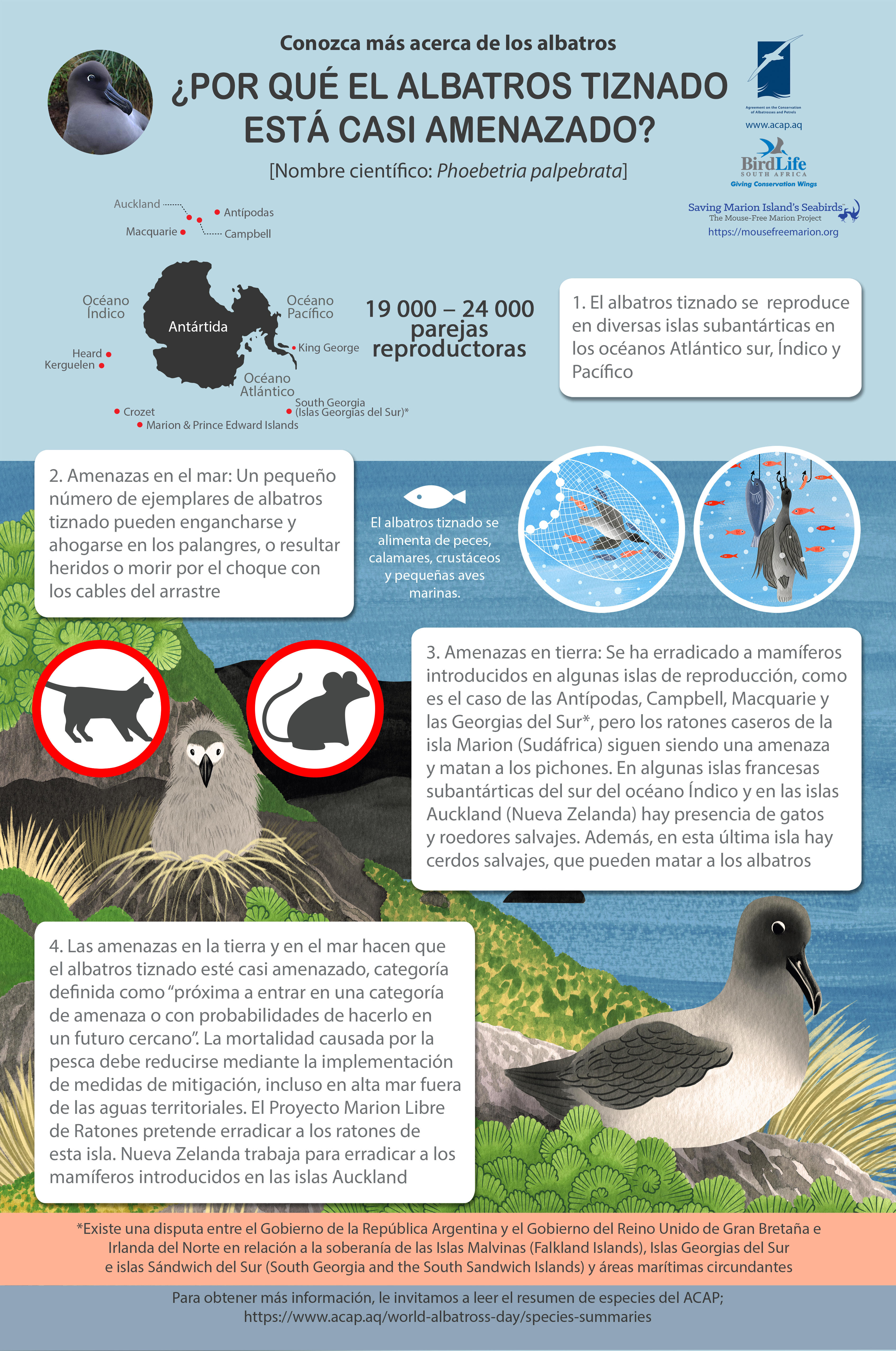 lightmantled es mediumposter5mmbleed