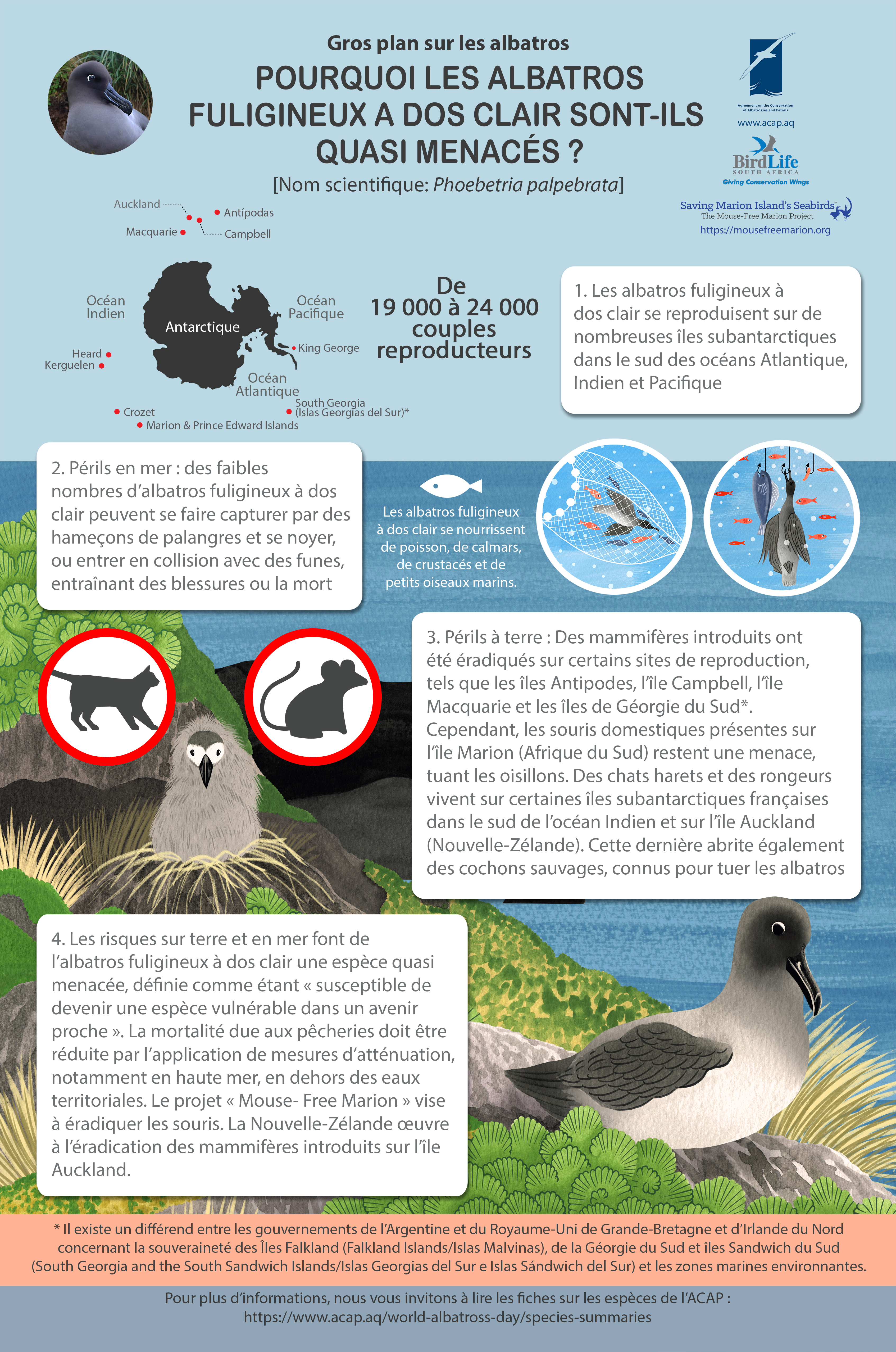 lightmantled fr mediumposter5mmbleed