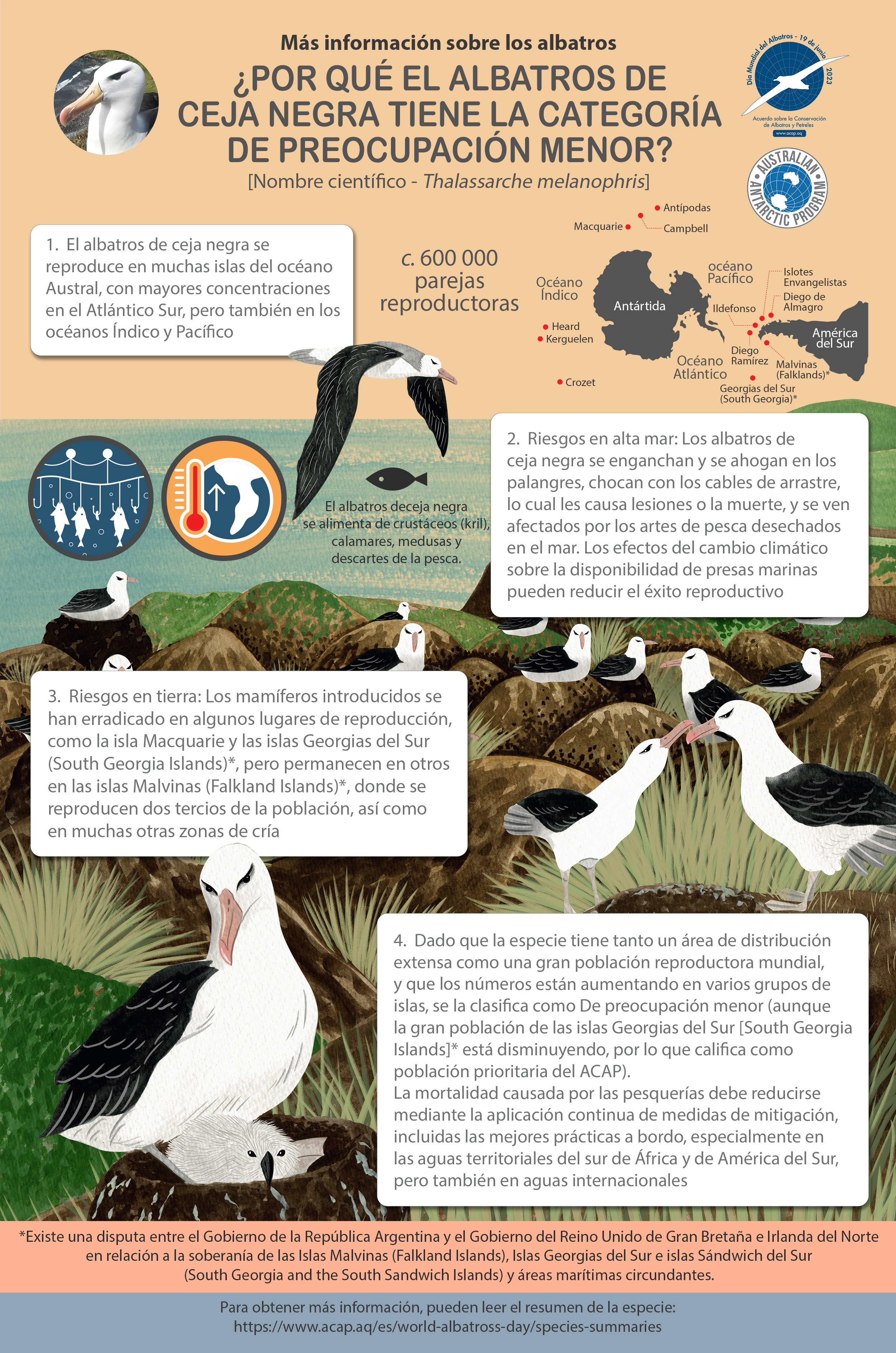 Black-browed_infographic_5mm_bleed_2.4MB_es