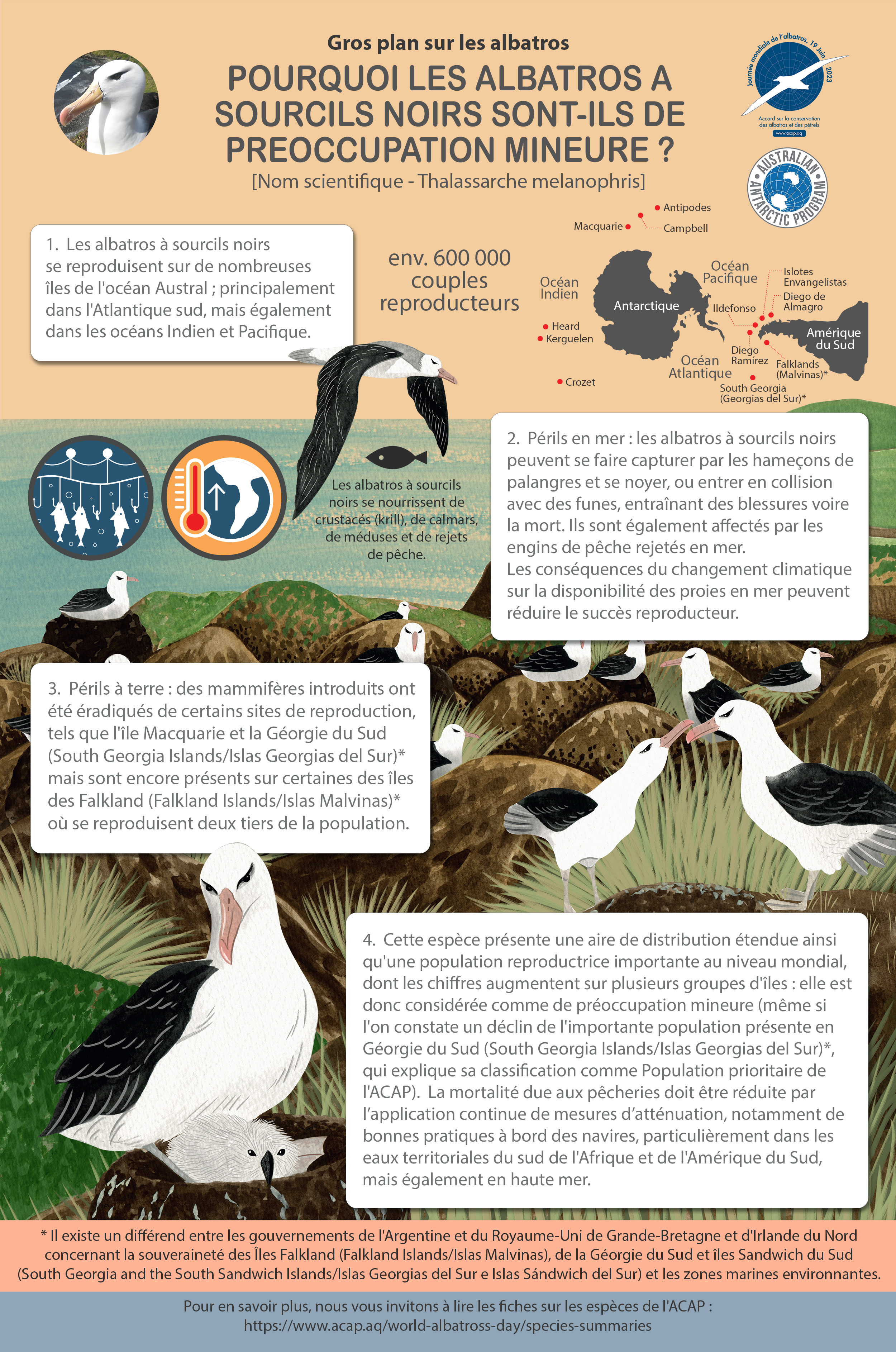 Black-browed_infographic_5mm_bleed_2.4MB_fr