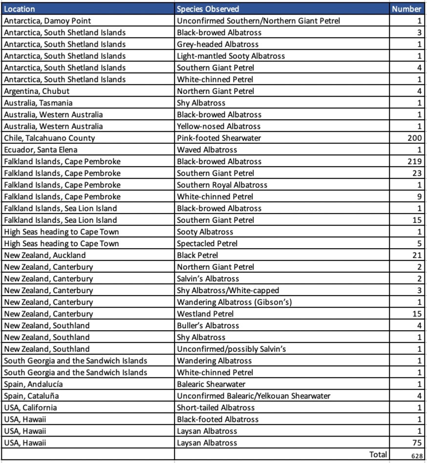 2023GBBC Procellariiformes
