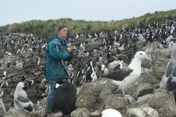 Researcher New Island Ian Strange s