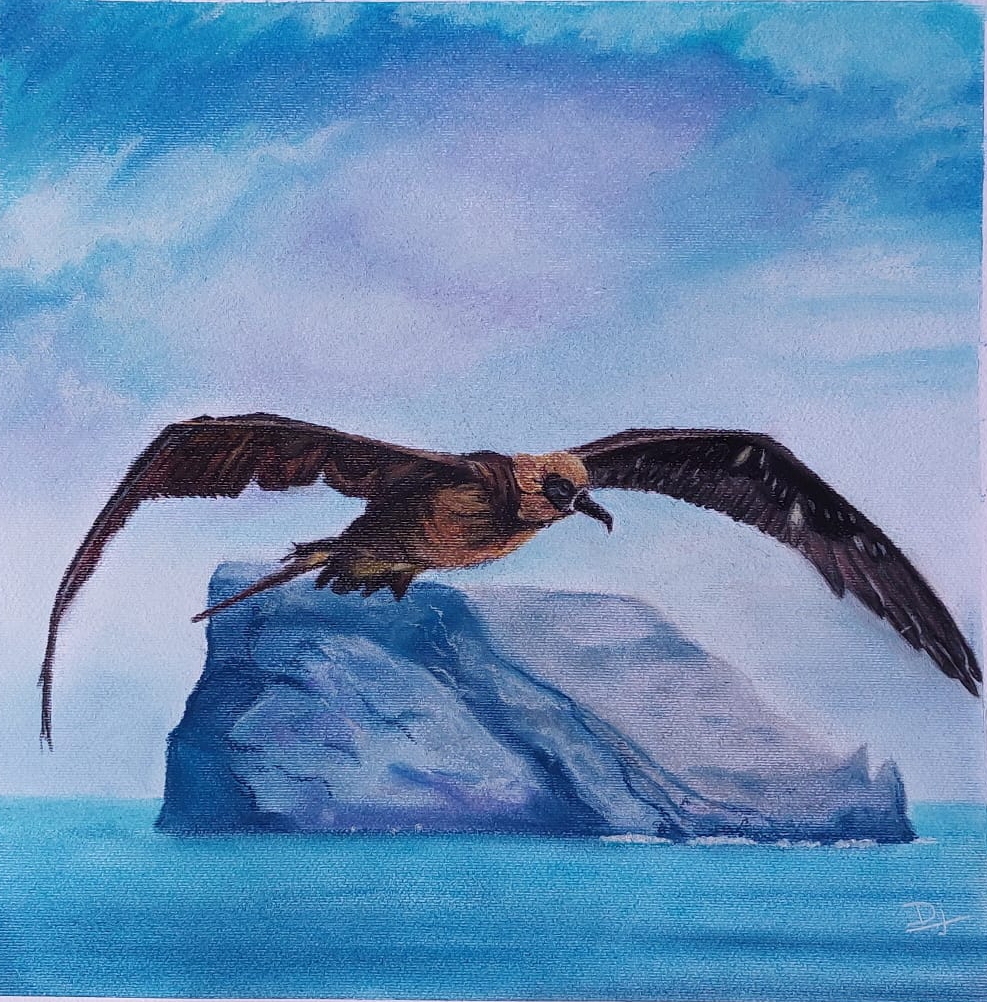 Deepti Jain Black footed Albatross soft pastels J.A. Soriano GECI