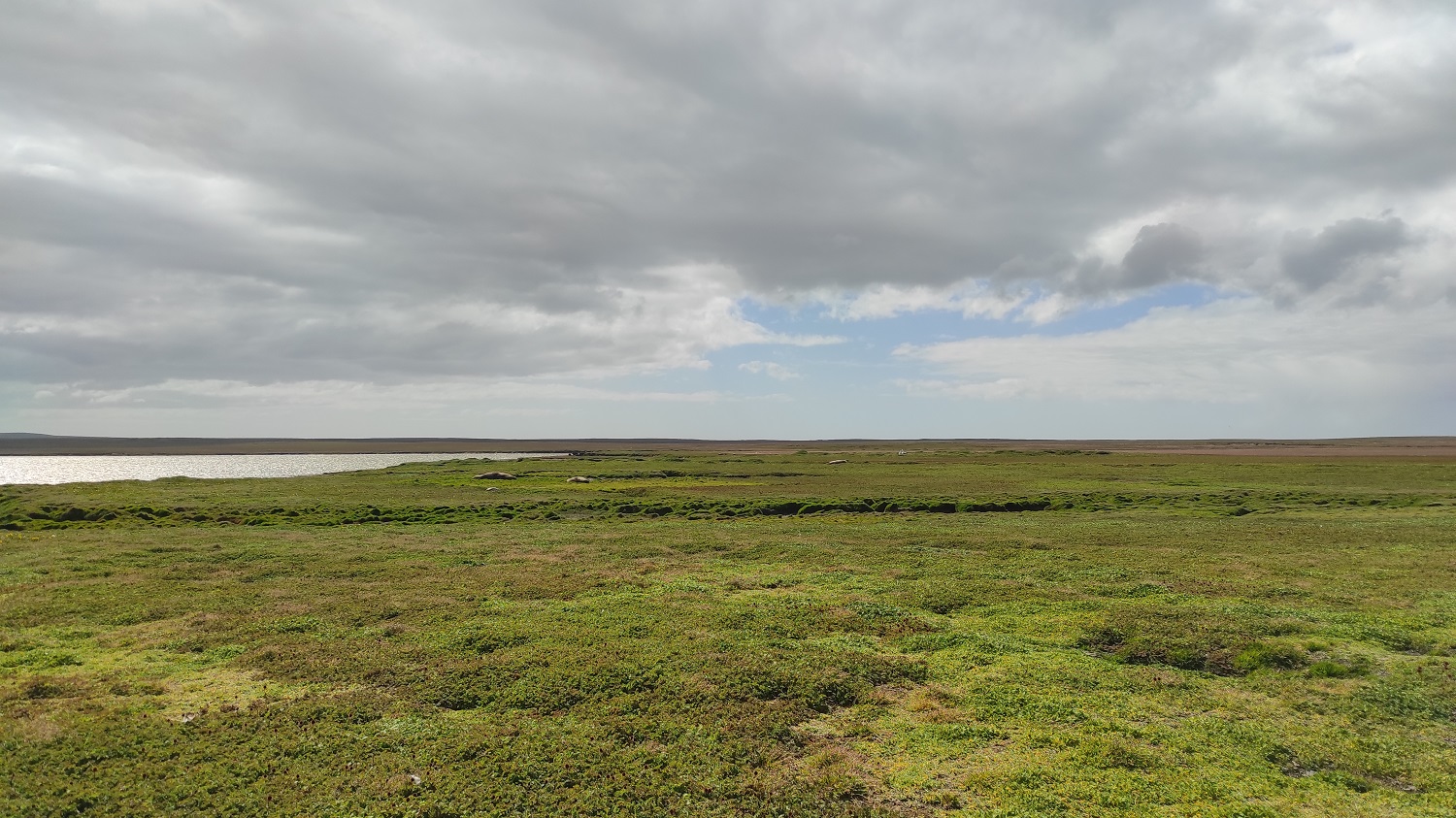 Kerguelen Bird Island Wanderer habitat