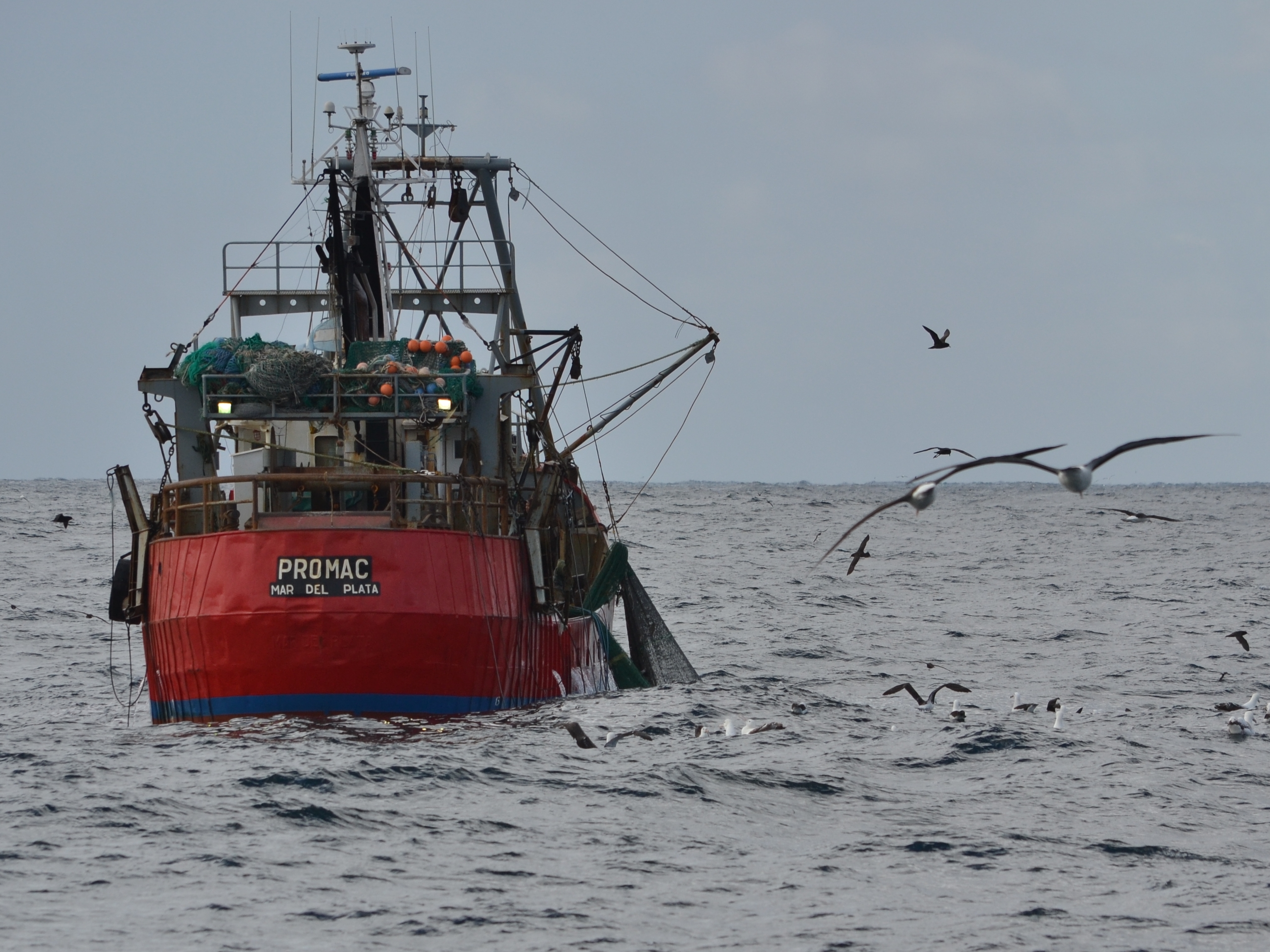 Argentinian Side Trawler Leo Tamini 2