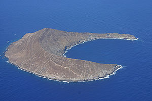 Lehua from air