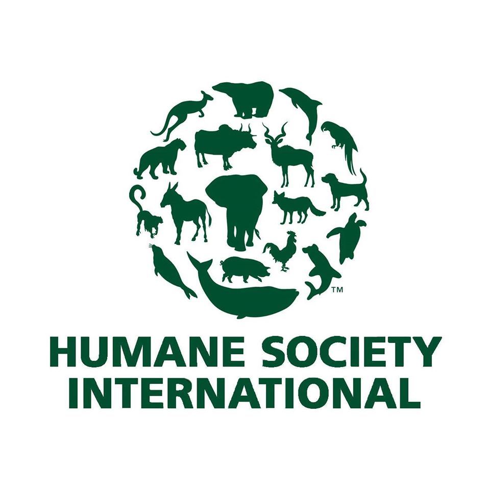 HSI logo