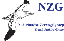 NZG