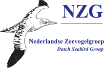 NZG