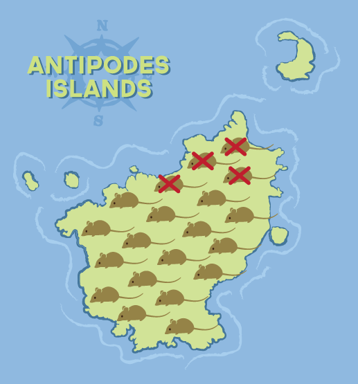 Antipodes