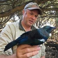 Pete McClelland Tui