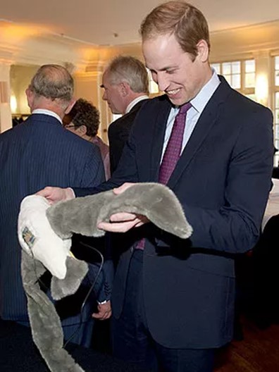 Prince William toy albatross