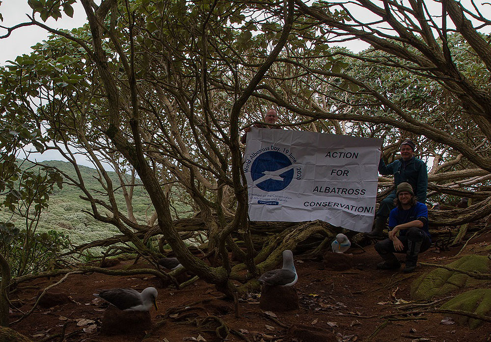 Albatross Day banner at The Snares Mar 2020