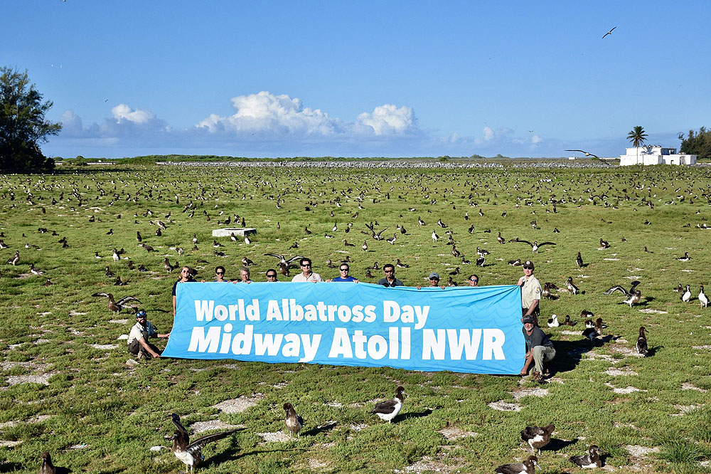 Midway Atoll USFWS