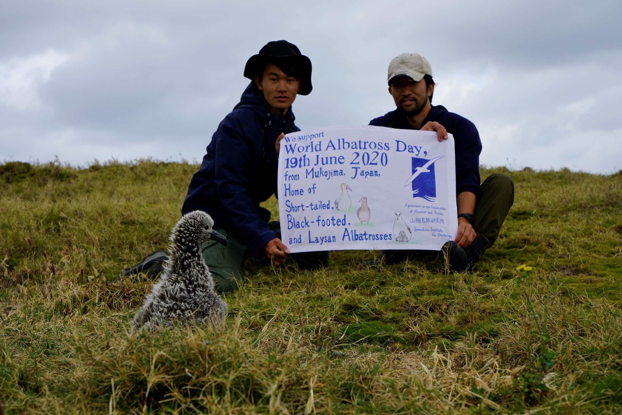 Mukojima with Black footed chick