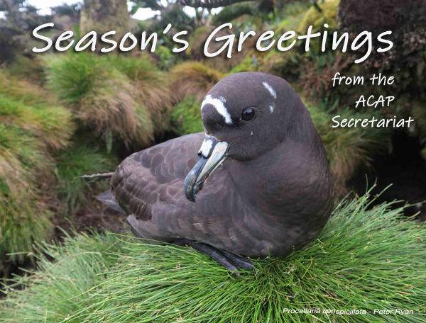 Seasonal Greetings 2022 E