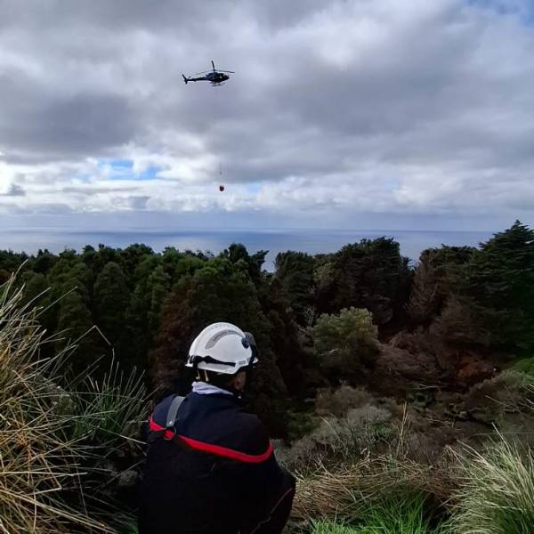 The wildfire on Amsterdam Island is out and its Endangered  albatrosses have survived