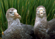 Southern Giant Petrel