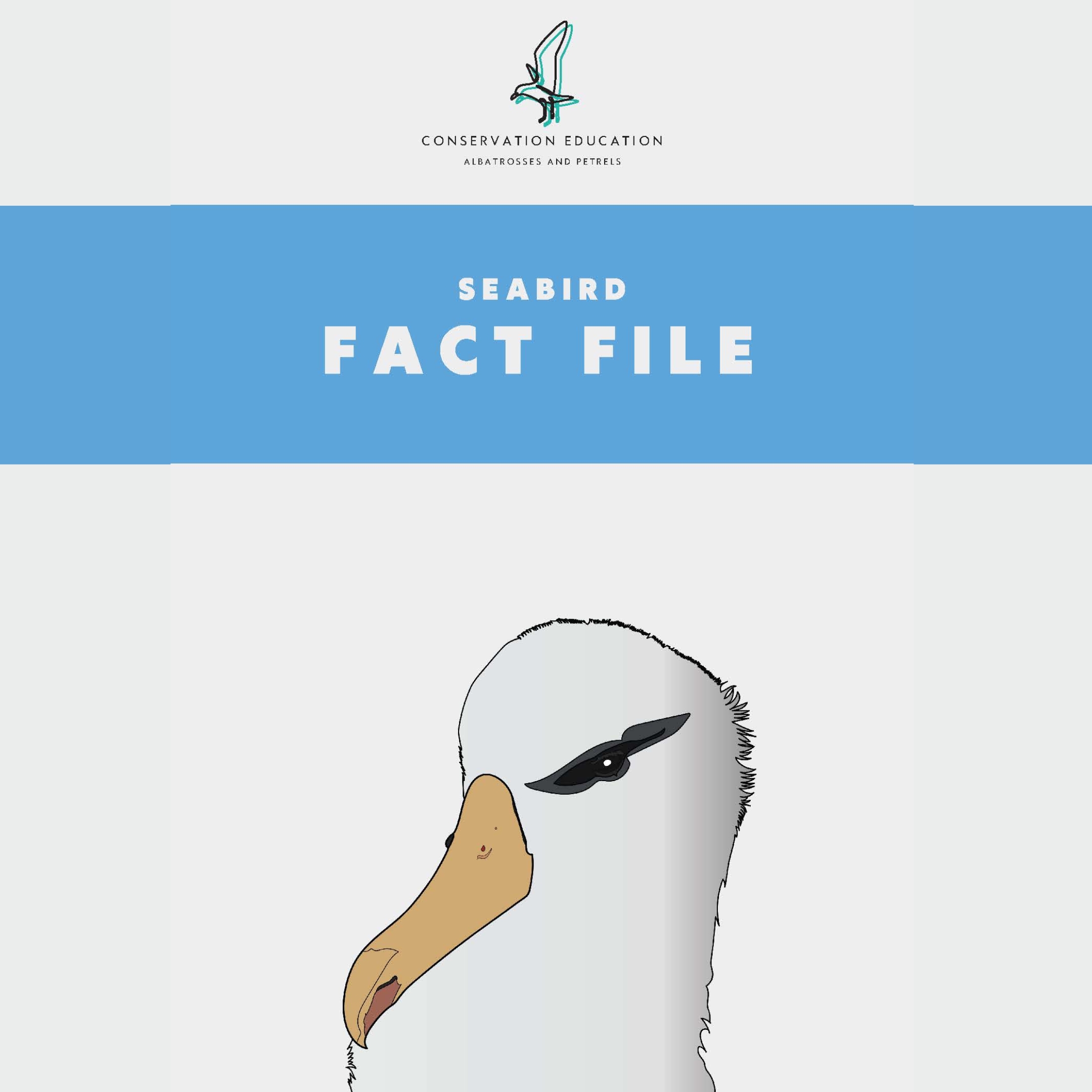 Fact File (pdf 15MB)