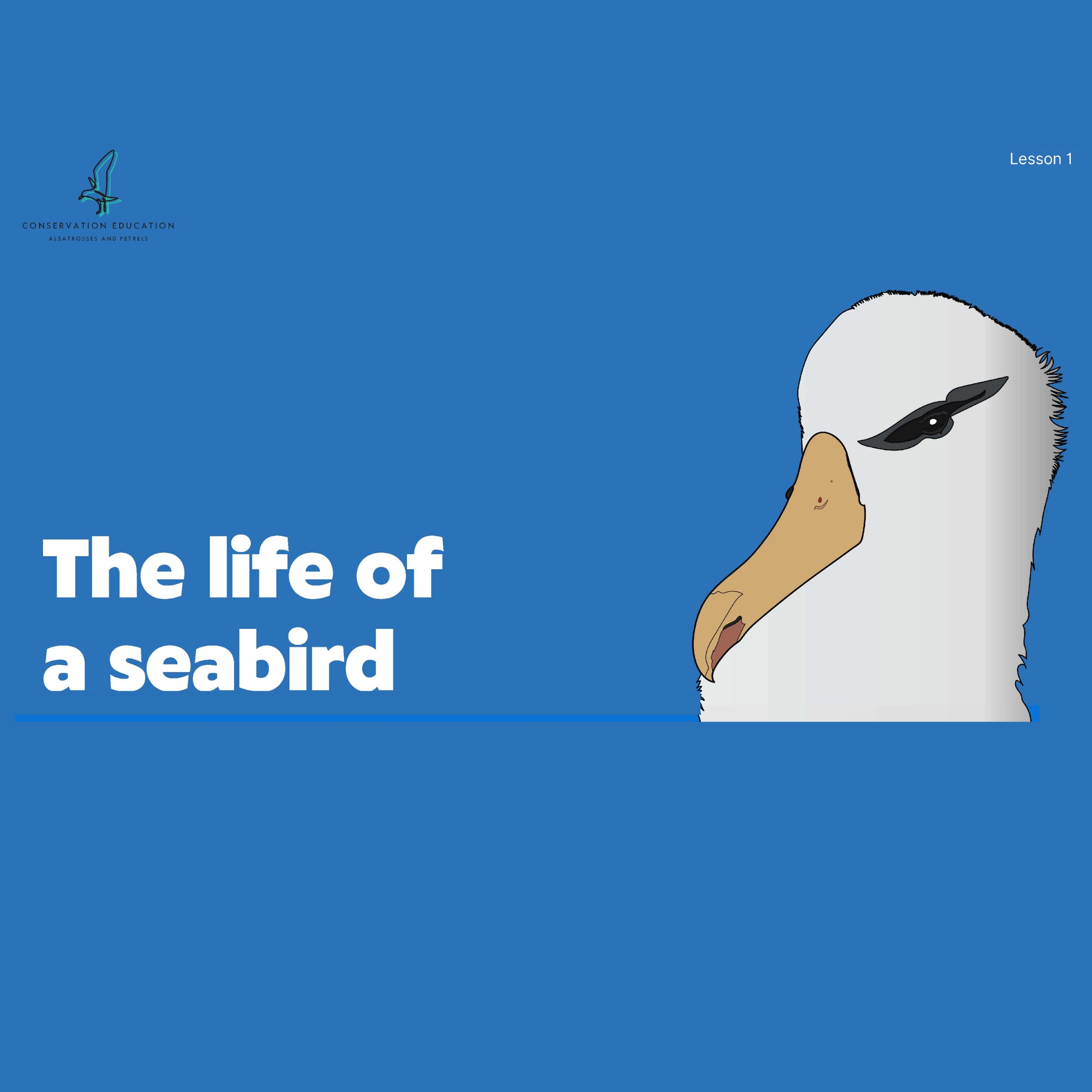 Lesson 1 presentation (pdf 10MB)