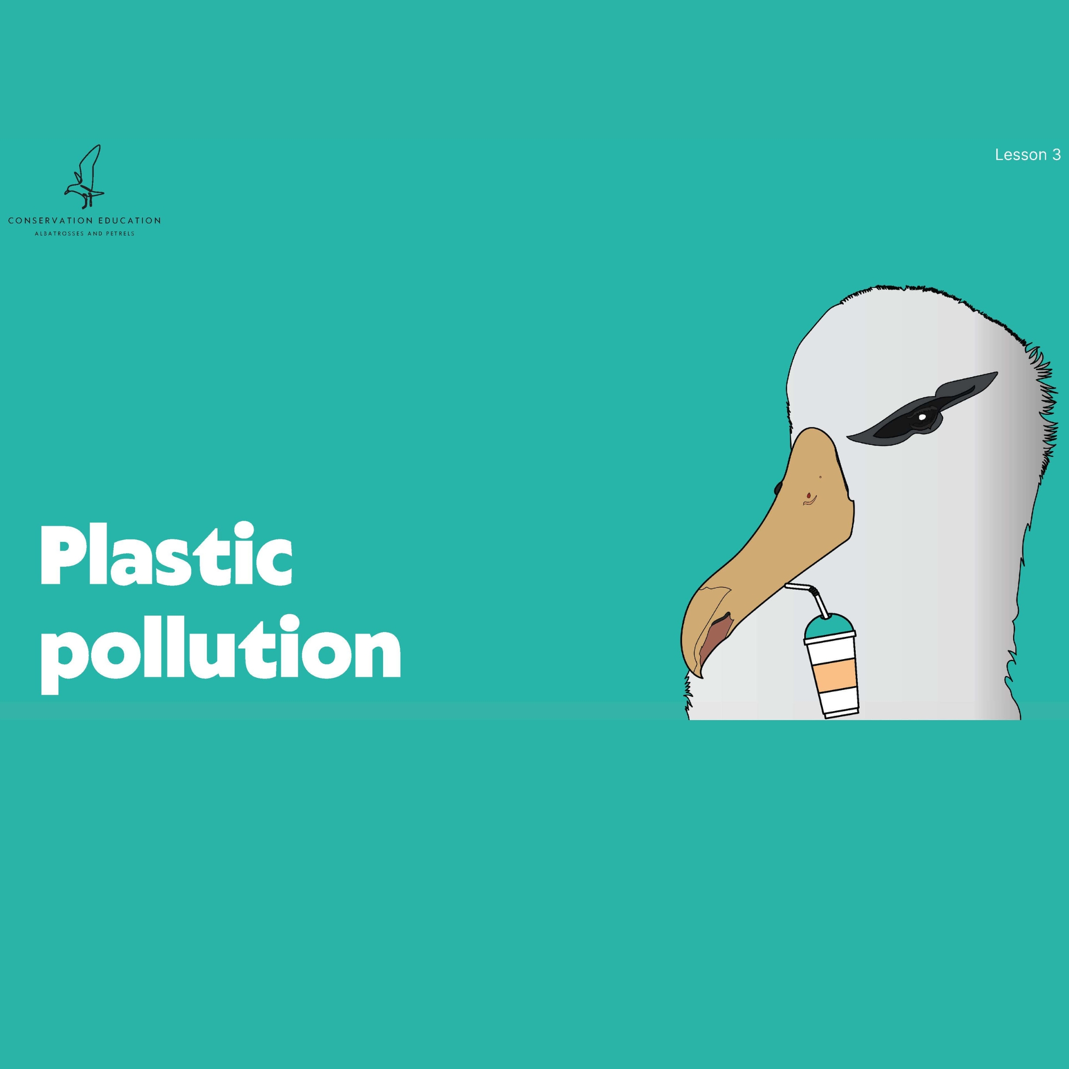 Lesson 3 presentation (pdf 6MB)