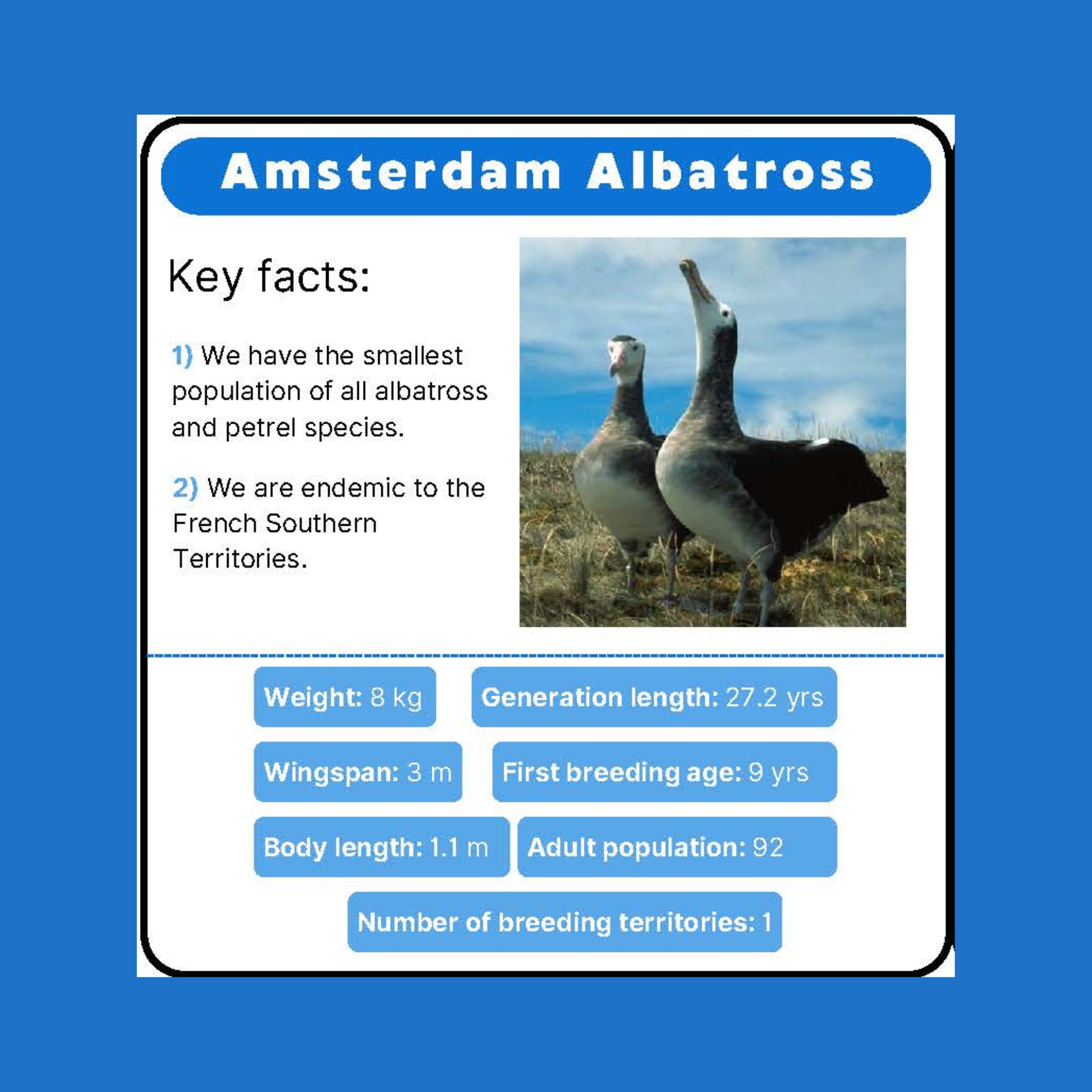 Peak Beaks cards (pdf 15MB)