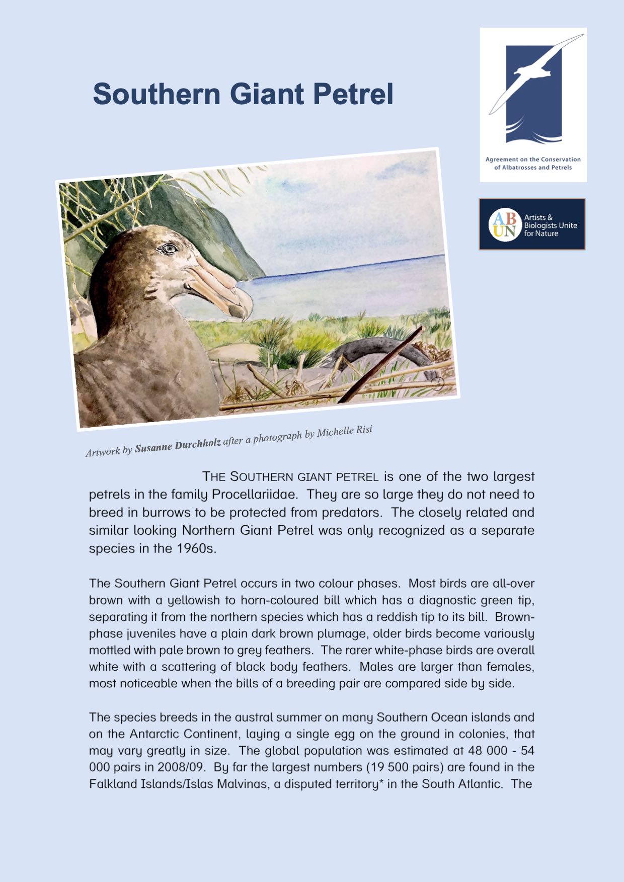 Southern Giant Petrel
