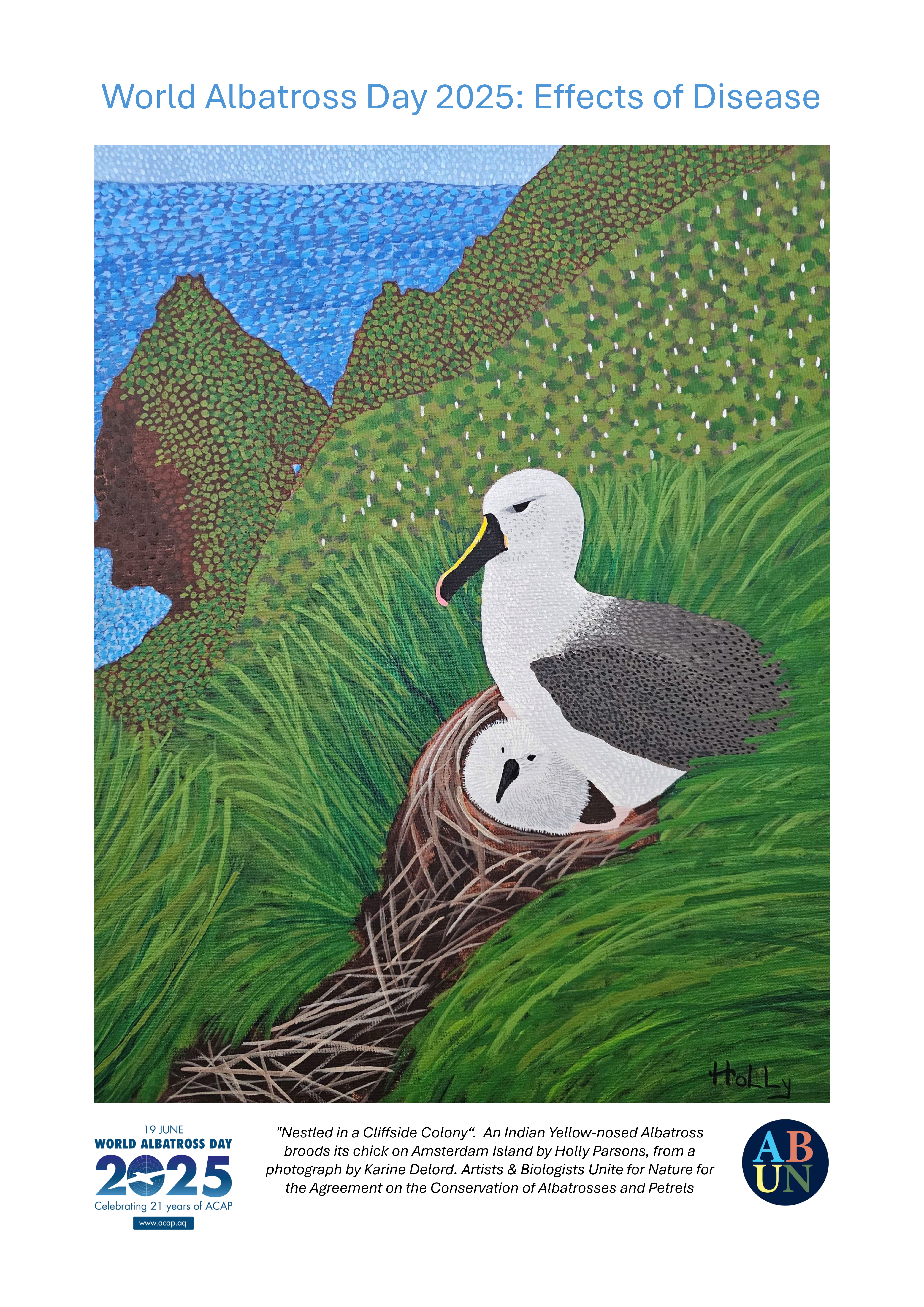 WAD2025 Indian Yellow-nosed Albatross with chick by Holly Parsons