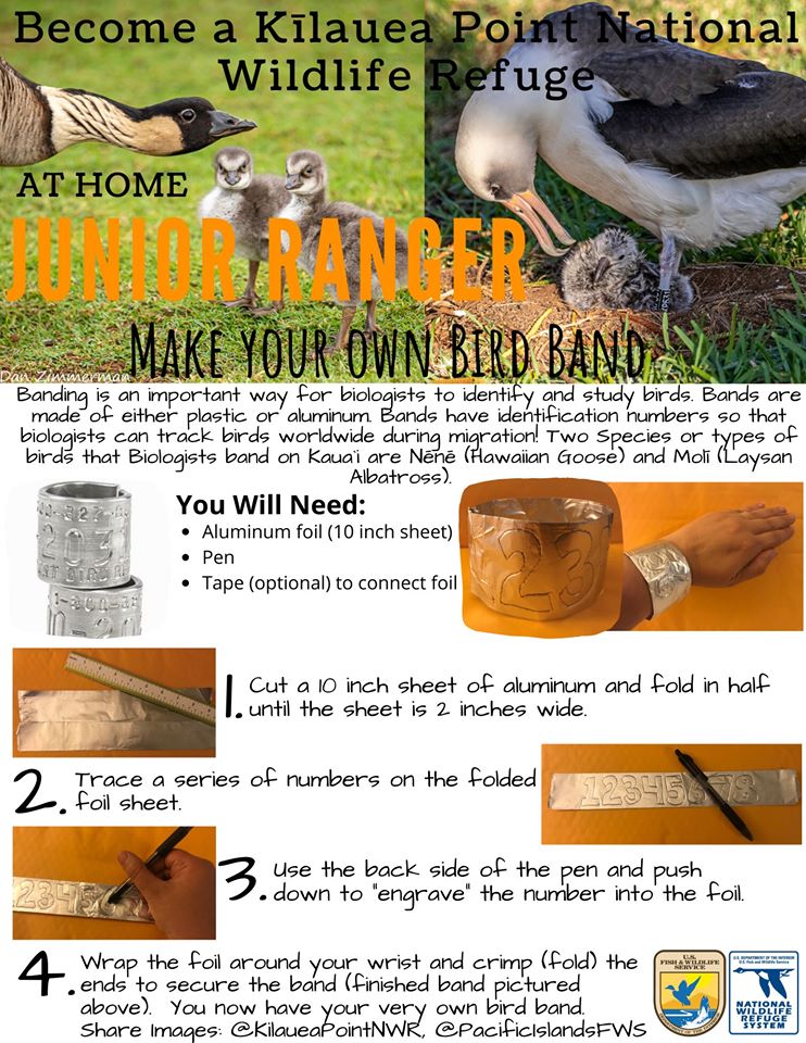 Make a bird band