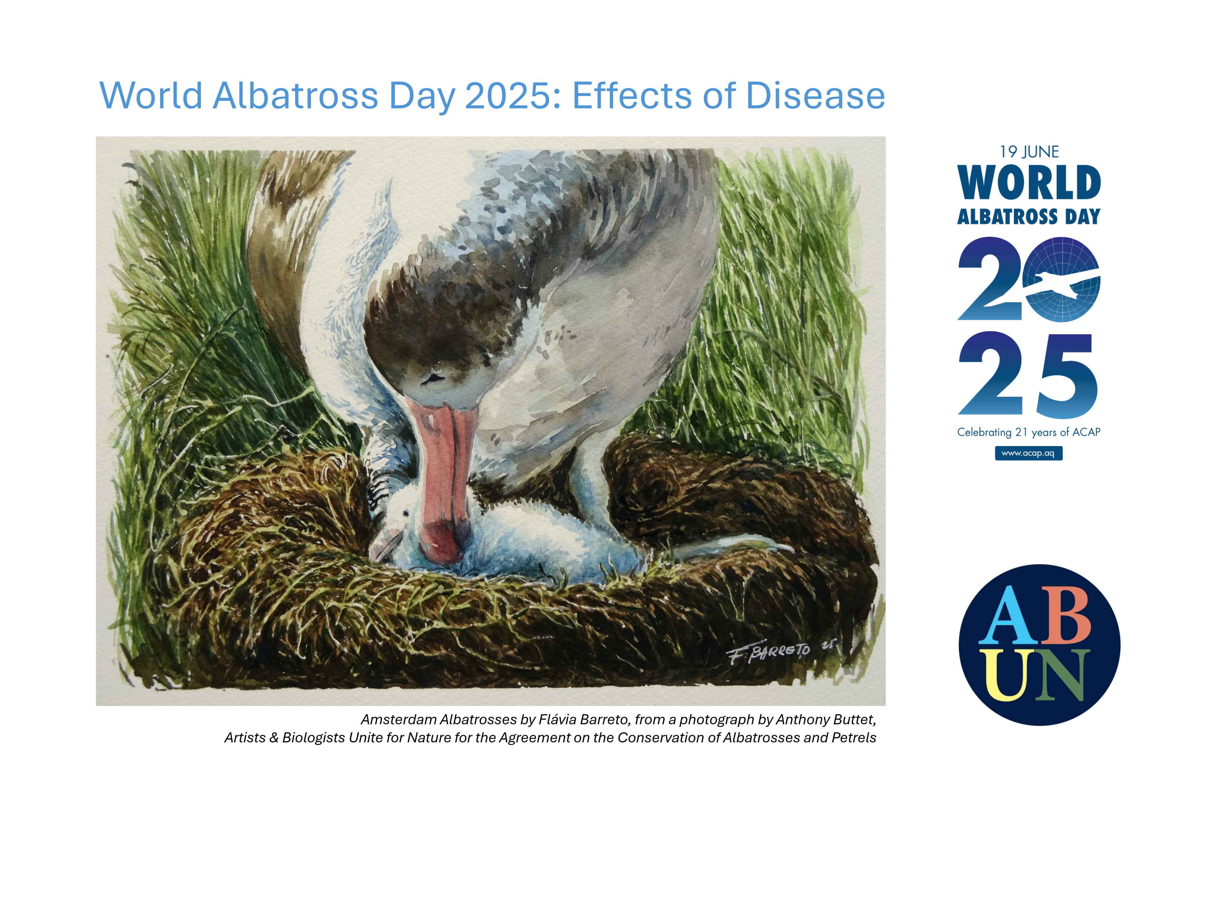 WAD2025 Amsterdam Albatrosses by Flávia Barreto
