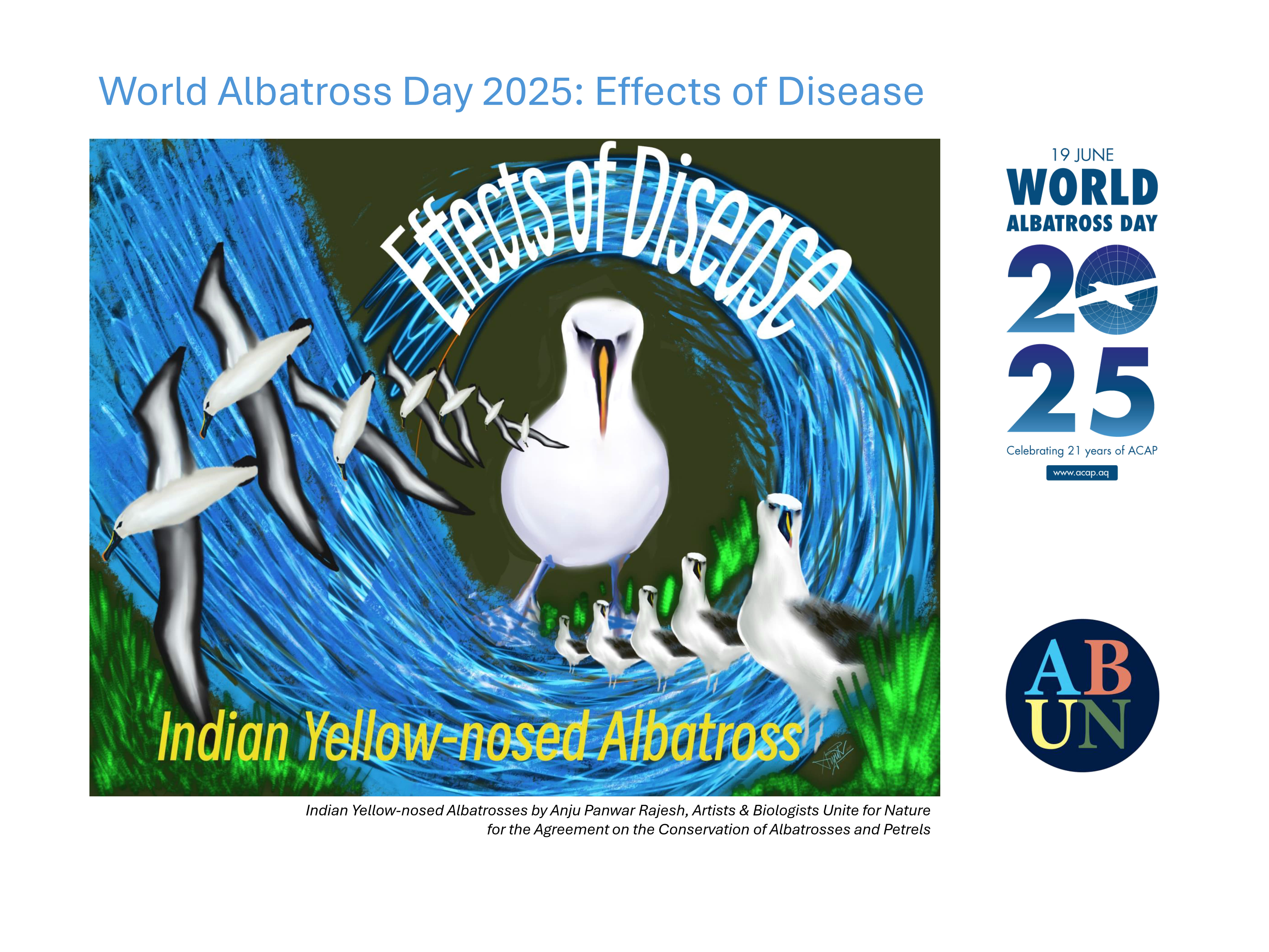 WAD2025 Indian Yellow-nosed Albatrosses by Anju Panwar Rajesh