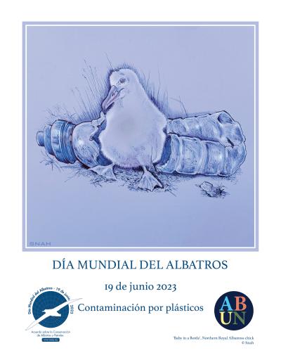 Northern Royal Albatross: "Baby in a Bottle" by Snah - Spanish