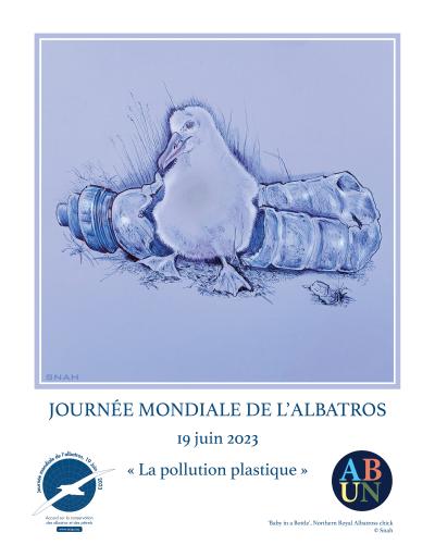 Northern Royal Albatross: "Baby in a Bottle" by Snah - French