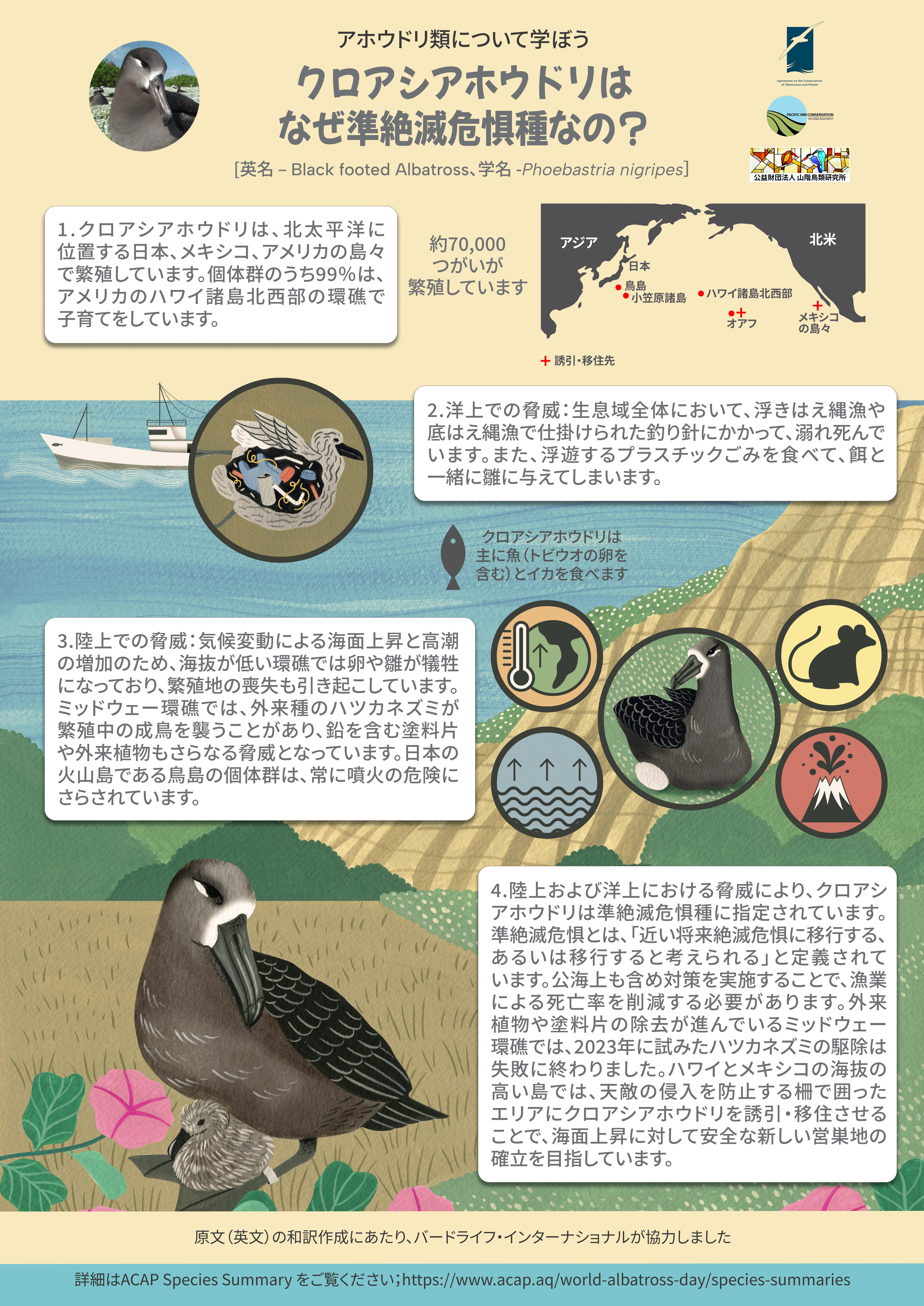 ACAP_Black-footed_Albatross_A0poster_j.jpg