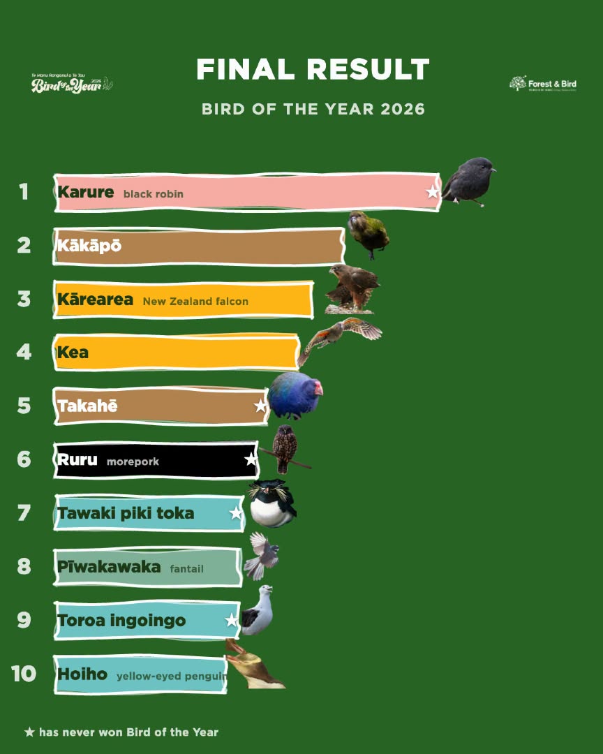 BOTY2026 FINAL