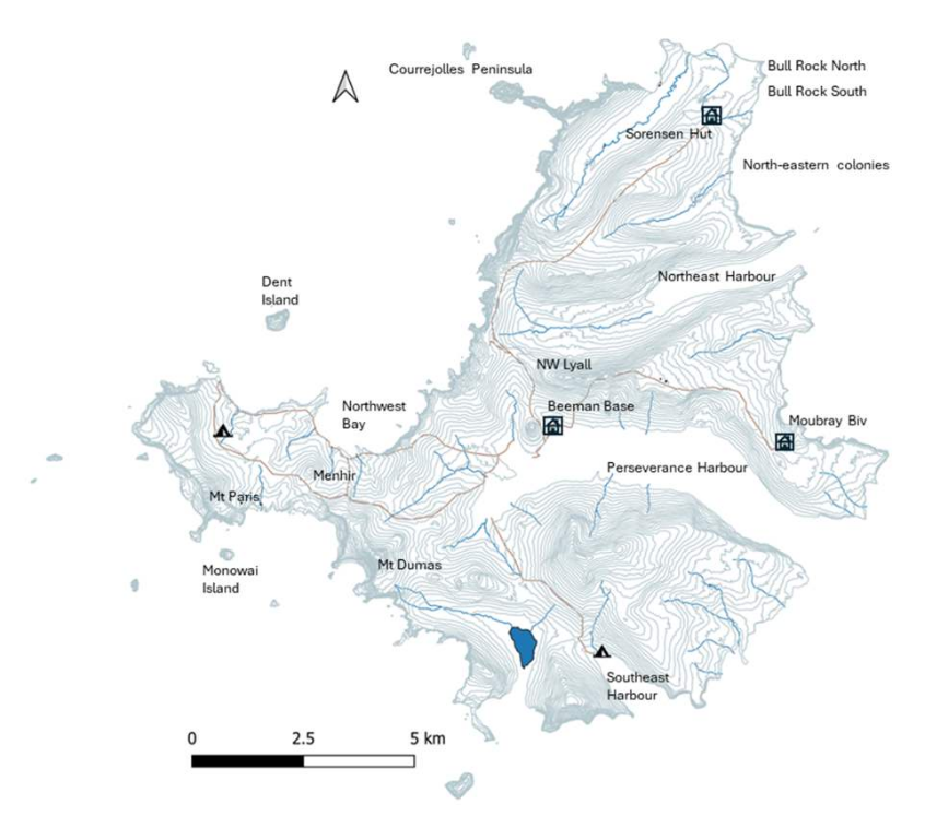 Campbell island seabird research 2024 25