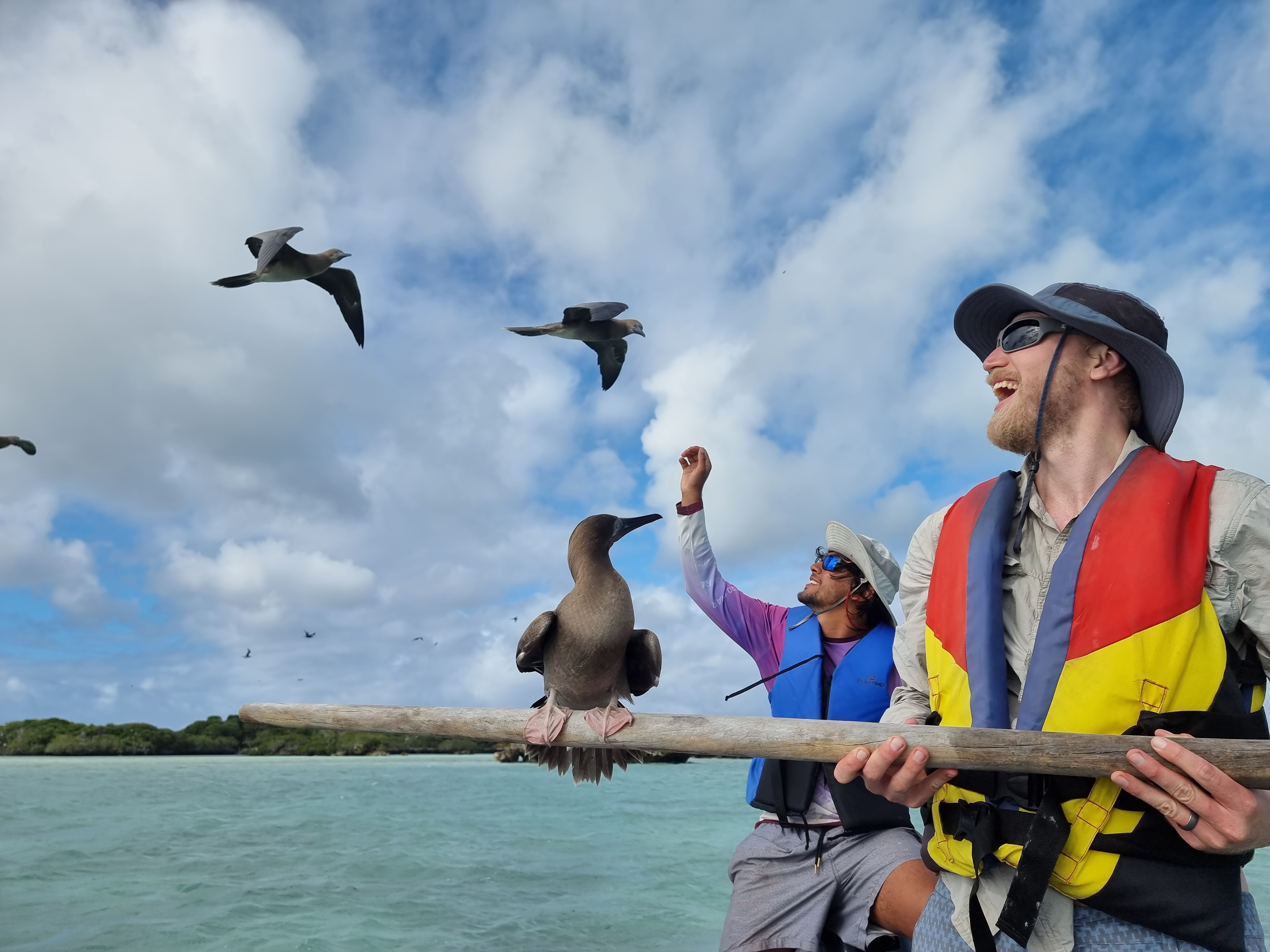 Chris during first RFB census in 20 years on Aldabra in 2022