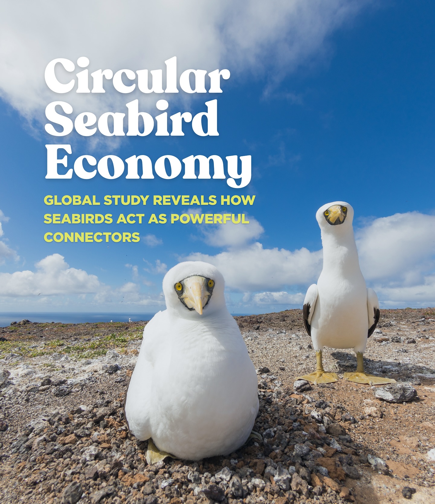 Seabird Circular Economy
