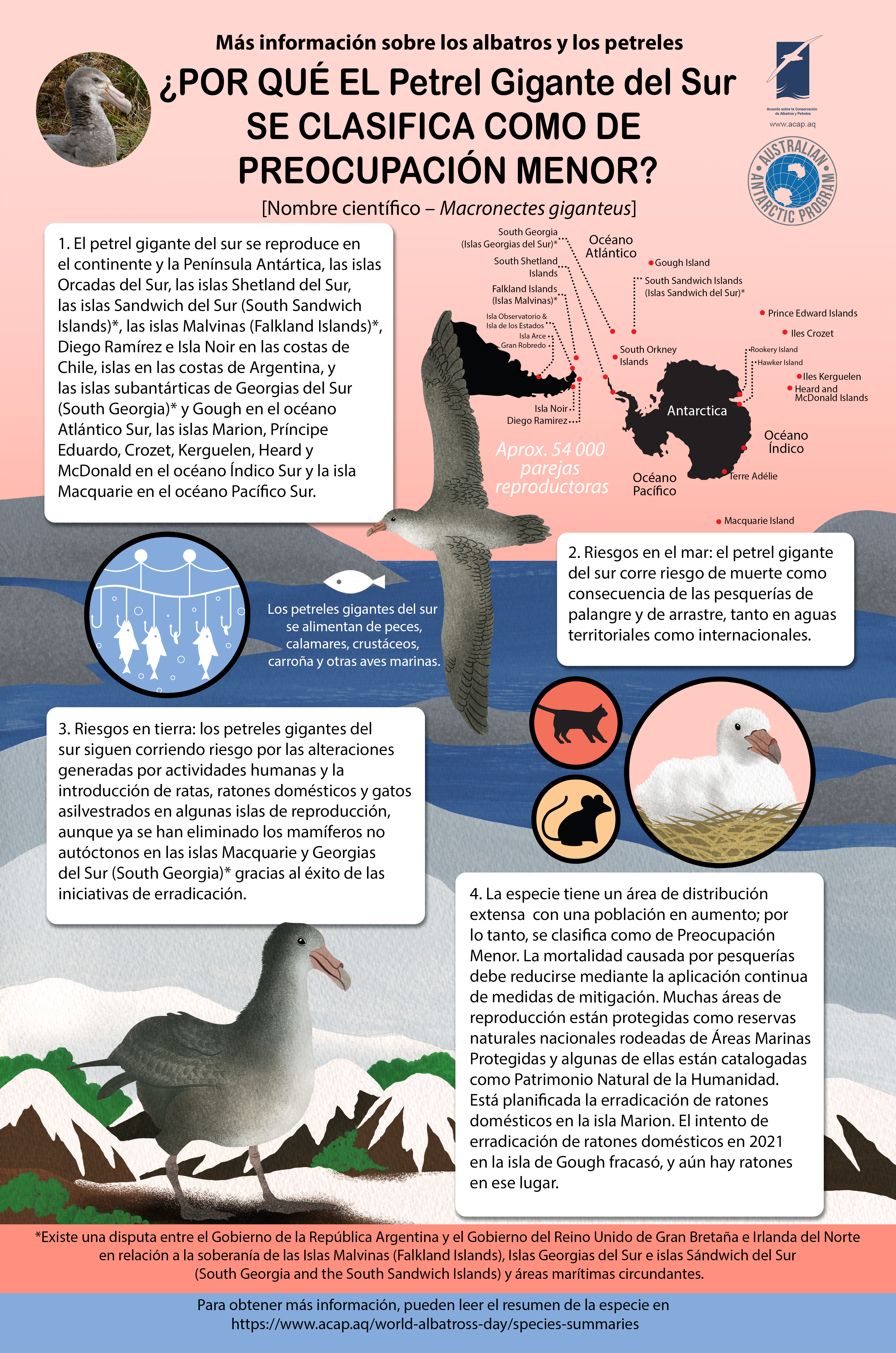 ACAP Southern Giant Petrel mediumposter 8MB s