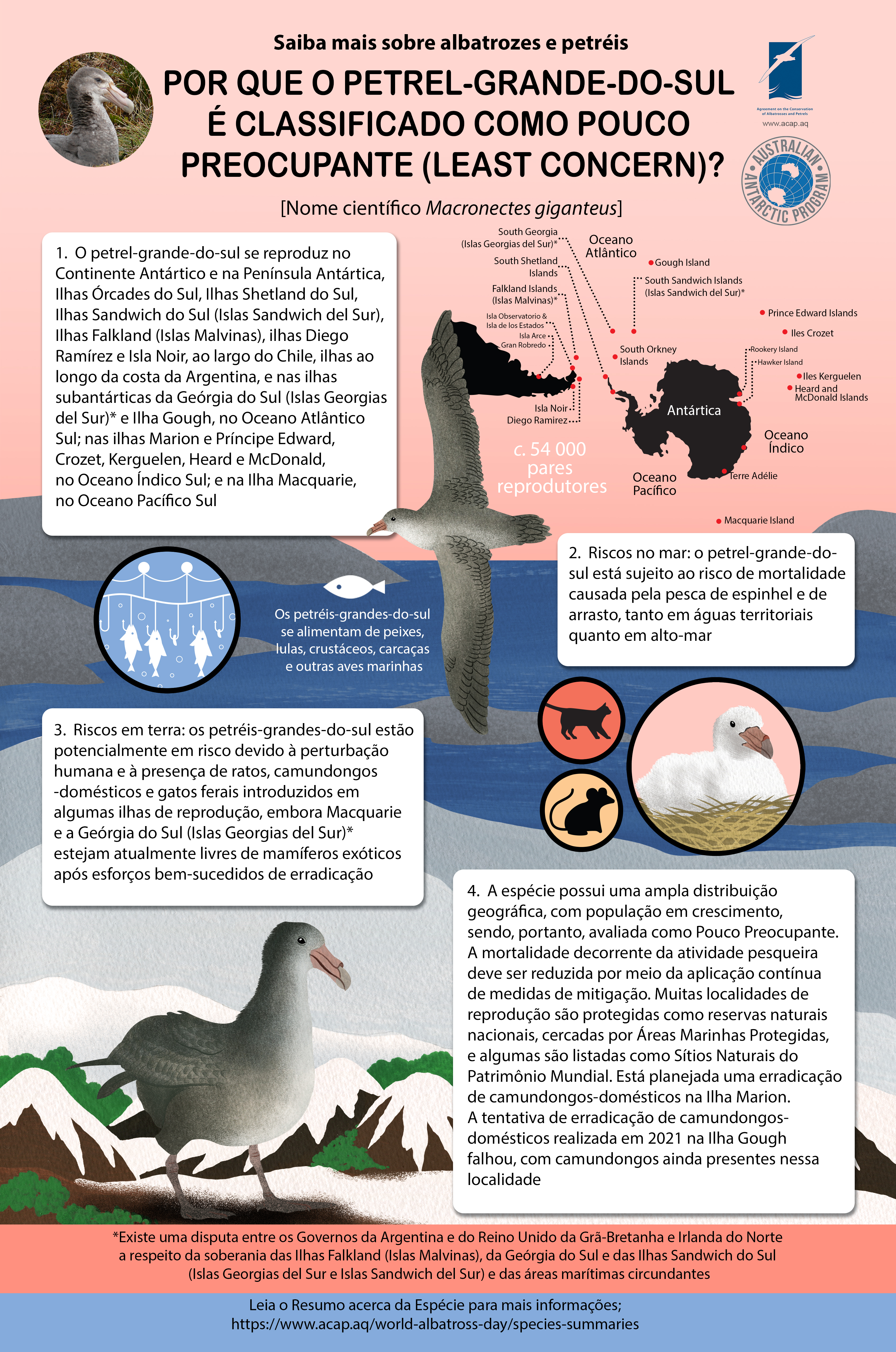 ACAP Southern Giant Petrel mediumposter 8 MB pt